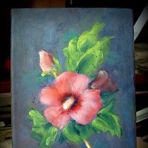 Rose Of Sharon
