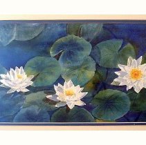The Lily Pond