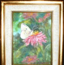 Butterfly On Zinnia