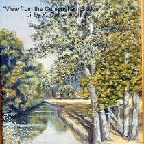 View From The Cunningham Bridge