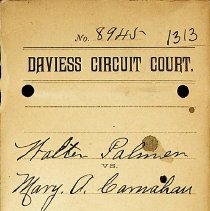 Walter Palmer v. Mary A. Carnahan 1895 lawsuit