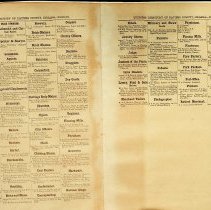 Two pages from "Business Directory of Daviess County, Indiana" (ca. 1871-1874)