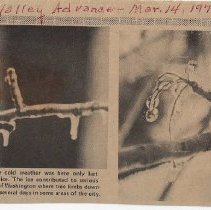 1978 article about an ice storm in Washington