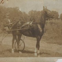 Album about people and sites in Alfordsville, Indiana (ca. 1910-2000)