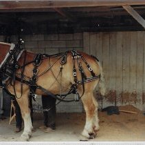 Album about people and sites in Alfordsville, Indiana (ca. 1910-2000)
