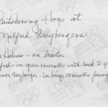 Butchering hogs at Milfred Freyberger's farm