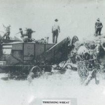 Wilmer, Marvin, and Mervin Knepp threshing wheat (ca. 1988)