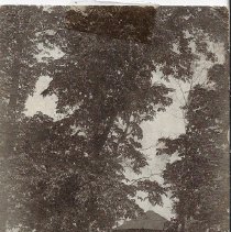 1908 picture postcard to Edith Horrall in Washington