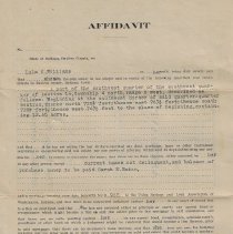 1913 affidavit signed by Lula G. Williams