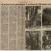 1976 article about the largest trees in Daviess County