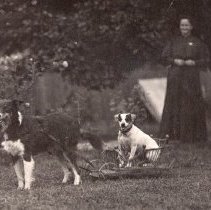 Palmer family members & pets (1909)