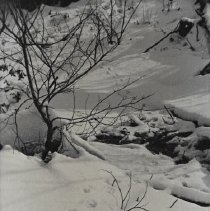 "Trail of the ground hog" (ca.1920-1930)