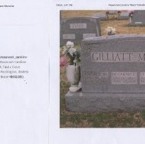 Reports about Crecelius & Gilliatt families