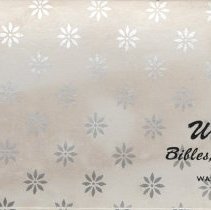 Wright's Bibles, Books, & Gifts in Washington