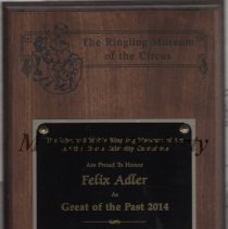 Plaque, Award