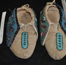 Moccasin