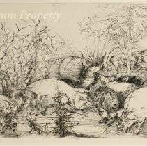 To Iowa and Molly Brooks