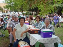 Concerts in the Park