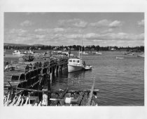 McKinley from Bernard, by W.H. Ballard