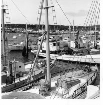 Boats at a Marina, by LaRue Spiker