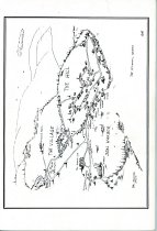 Village and the Hill:  Growing Up in Seal  Harbor, Maine, in the 1930’s