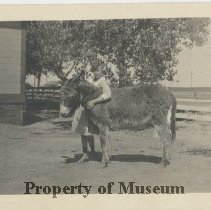 Rango Atmore and Mule