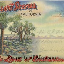 Desert Scenes of California