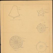 Cy Cress Biology Papers