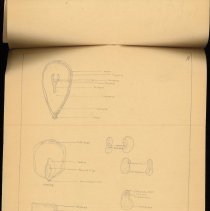 Cy Cress Biology Papers