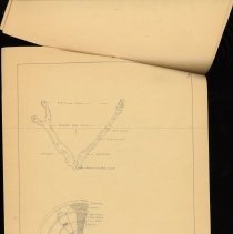 Cy Cress Biology Papers