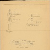 Cy Cress Biology Papers