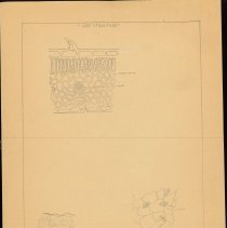 Cy Cress Biology Papers