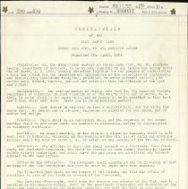 Constitution of The Last Man Standing VFW Group