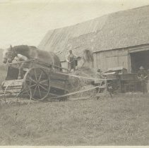 Threshing Horses