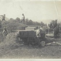 Hollow Farm Workers