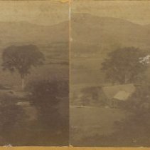 19. The Old Field Place