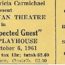 The Unexpected Guest