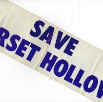 Save Dorset Hollow