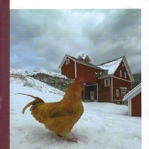 Dorset Town Report 2022