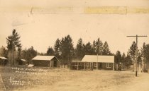 2019.1.53 Loveless Coll. Virgin Forest Park