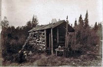 Tar paper shack with man sitting in door, ladder leaning against roof