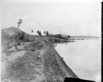 Loveless Alder Lake sawmill