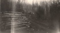 Logging Phase 3-pulp logging