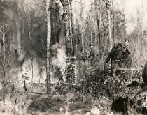 CCC crew works to contain fire to plowed line 1936