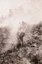 Camp Mercer crew working to hold fire to the plowline