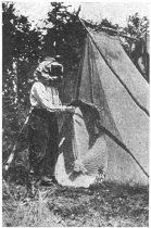 This is only a mosquito head net