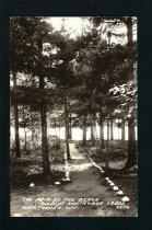 Balaty's postcard ca mid 1940s