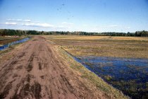 1965 Alder Lake Cranberry Co