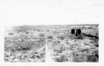 1940s early cranberry bed