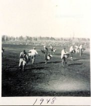 Spreading cranberry vines to plant
